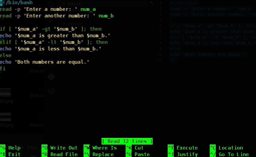 bash scripting -linuxblaze