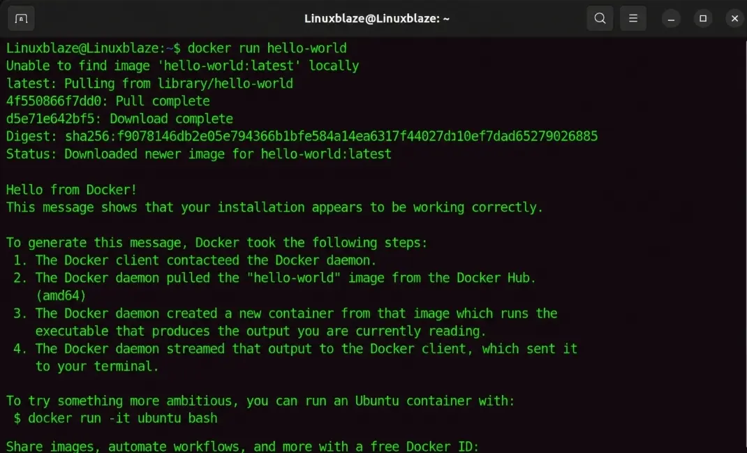 docker run linuxblaze