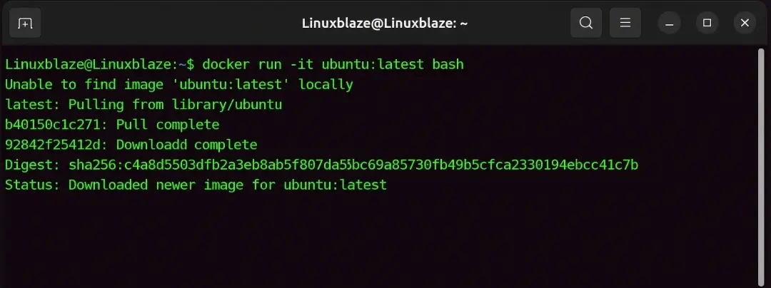 ubuntu on docker linuxblaze